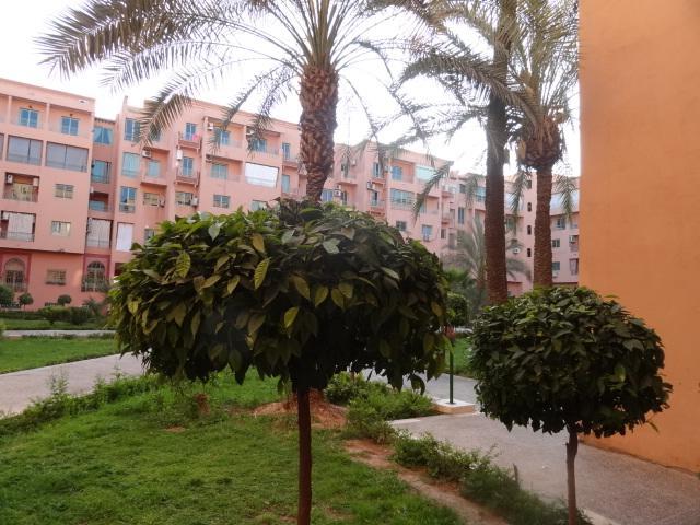 Apartment Manis Set In A Area Marrakesch